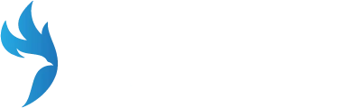 Digital Riders, estrategia digital y lanzamientos